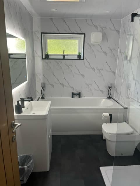 Bathroom renovation 1